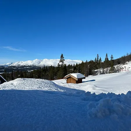 Flott Moderne Hytte I Holterdalen, 4 Soverom, 2 Bad, Jacuzzi, Garasje Rauland Exterior photo