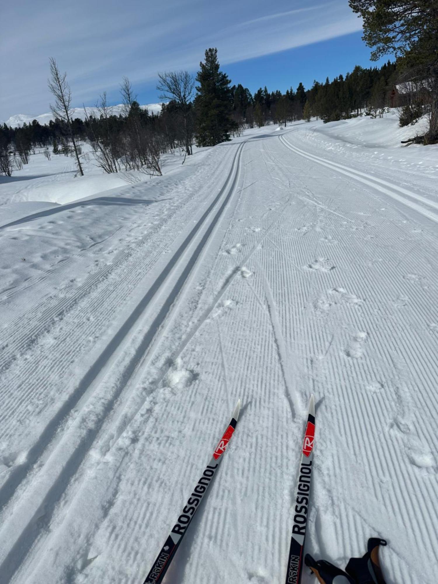 Flott Moderne I Holterdalen, 4 Soverom, 2 Bad, Jacuzzi, Garasje Holiday home *
