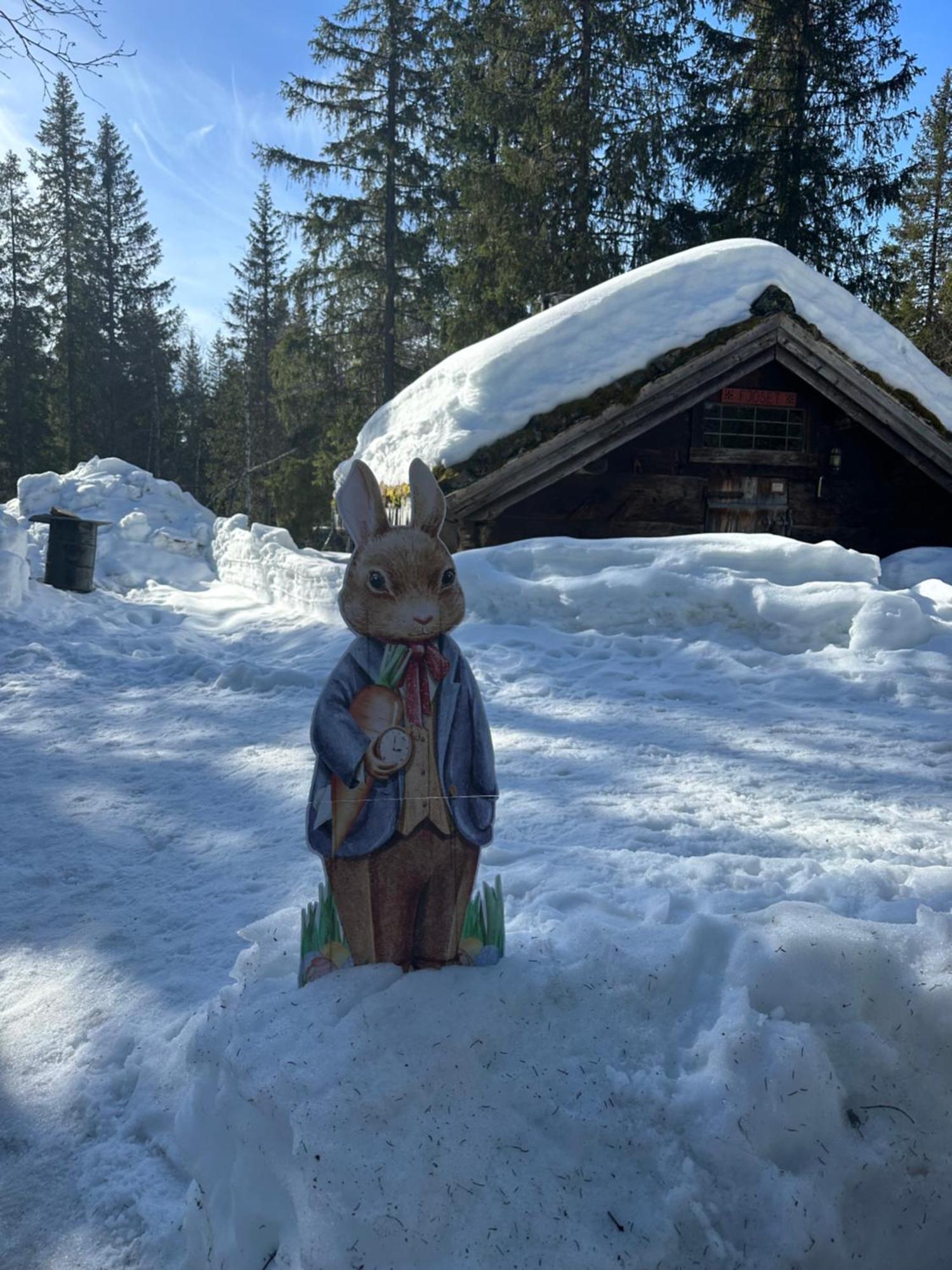 Flott Moderne I Holterdalen, 4 Soverom, 2 Bad, Jacuzzi, Garasje Rauland